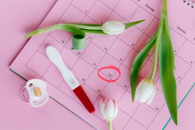 Az ovuláció folyamata – Hogyan működik, miért fontos, hogyan optimalizálható a teherbeesés?