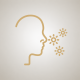 Allergology and allergy treatments